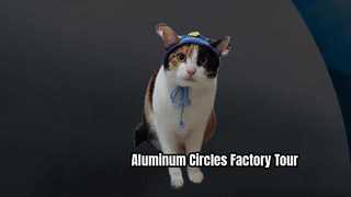 مدونة فيديو 6